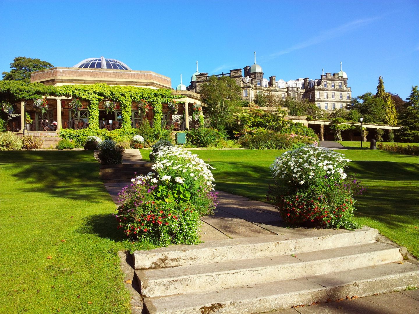 A view of Harrogate Gardens. The image shows lush green lawns and a building with leaves growing up the front.