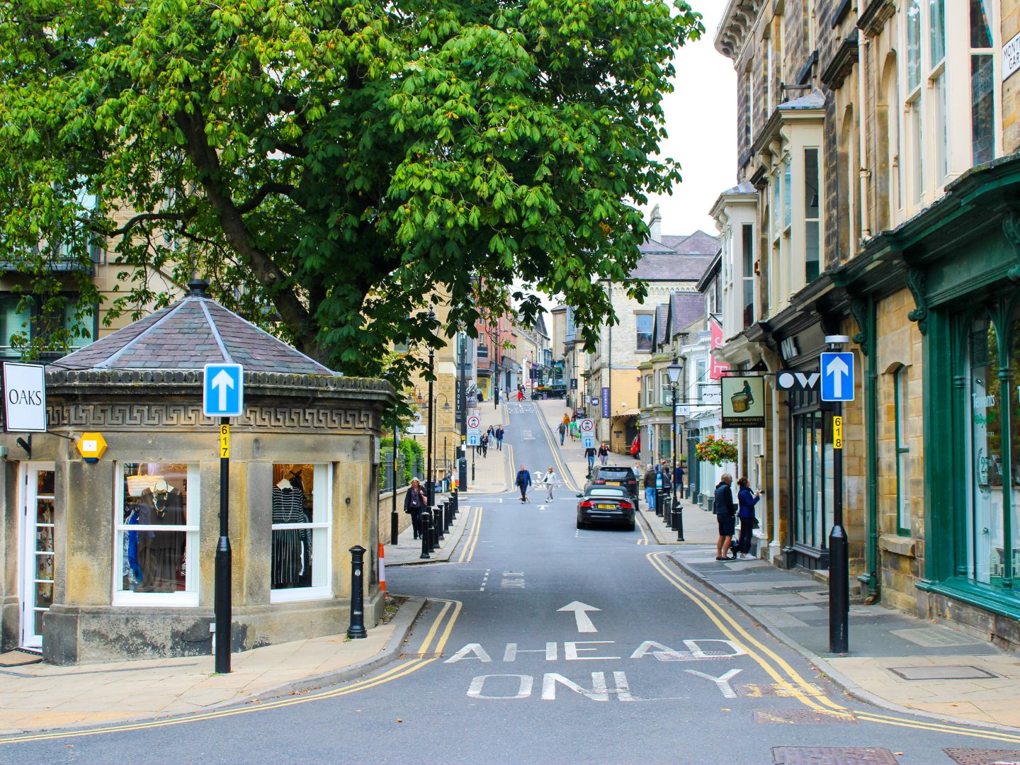 A different view of The Montpellier Quarter in Harrogate. The image shows a one way street with shops on either side. There is a large leafy tree on one side. 