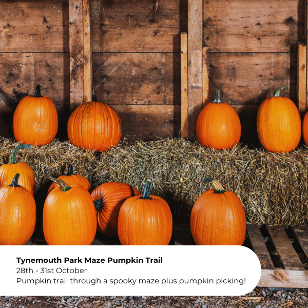 Tynemouth Park Maze Pumpkin Trail.