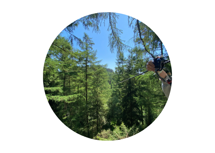 The image shows tall trees in the background against a bright blue sky. A persons hand is on a zip line on the right-hand side of the shot.