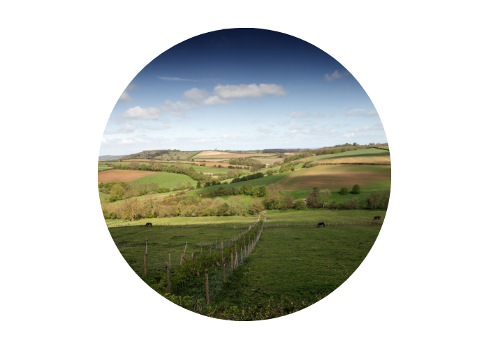 A view of the North York Moors. The image shows lush green fields against a bright, blue sky.