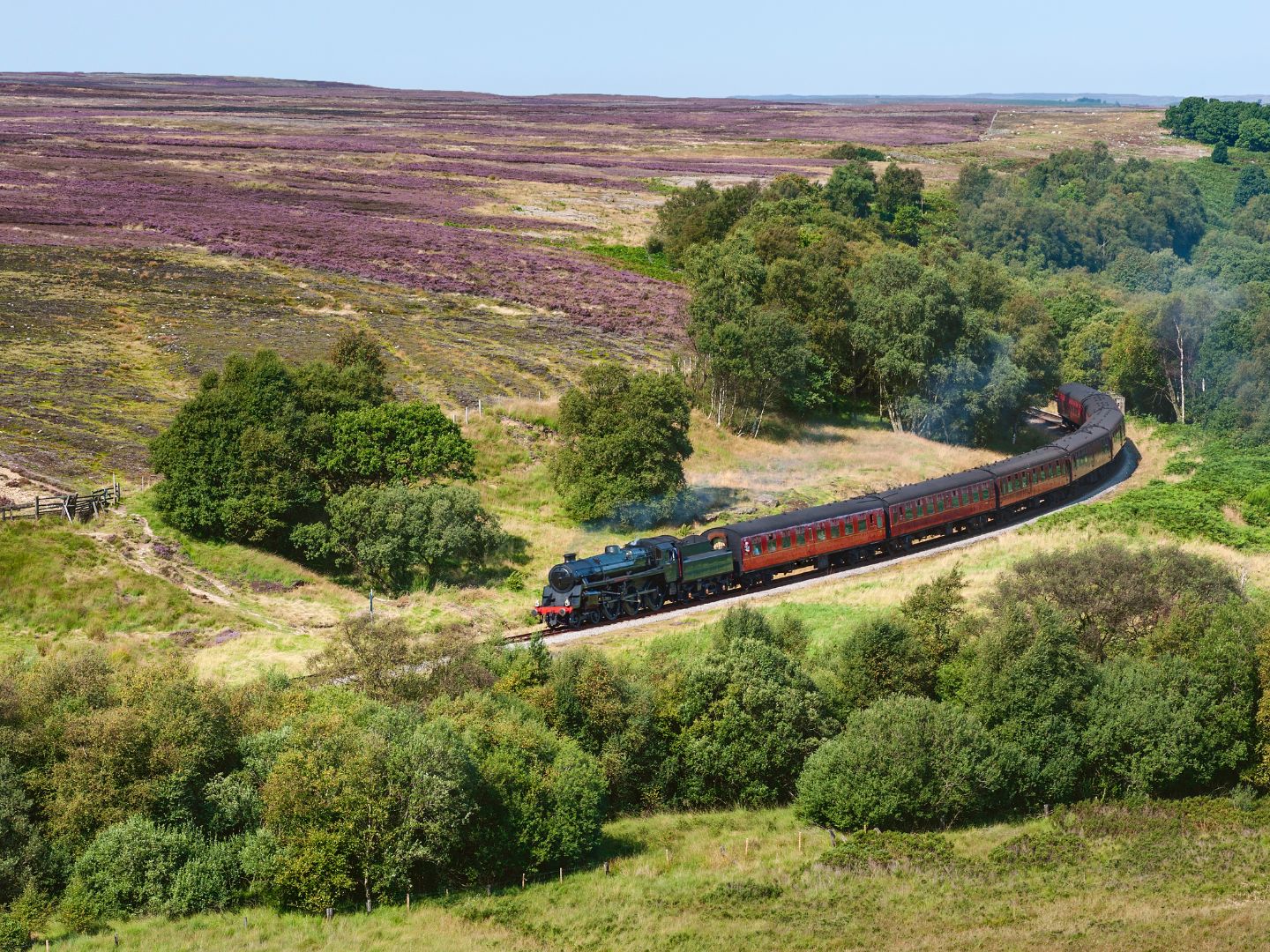 An image of a heritage train travelling through North Yorkshire. Part of the North Yorkshire Moors Railway, the train moves on a track with lush fields of grass and heather around it. 