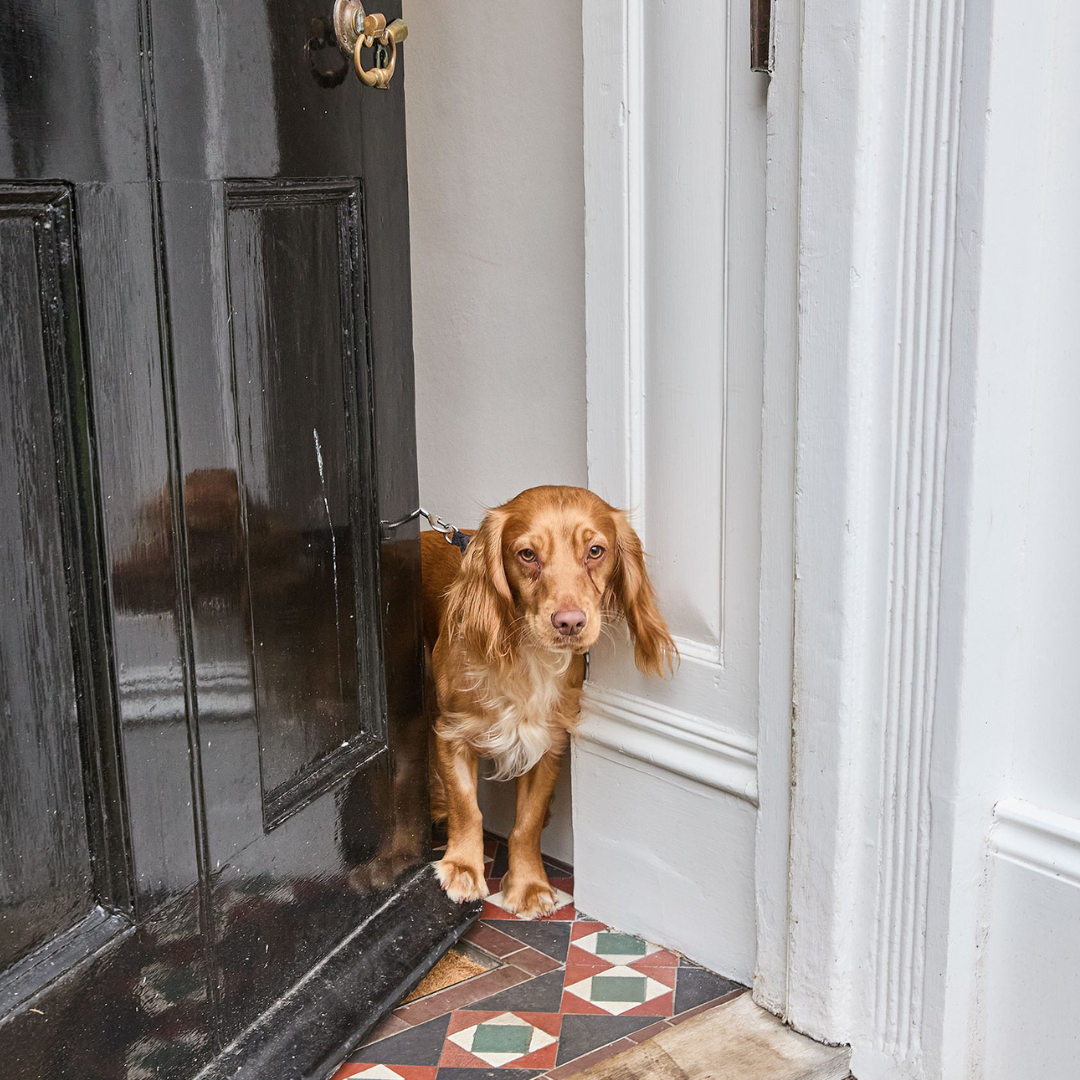 Copy of Hot Tub Property-4